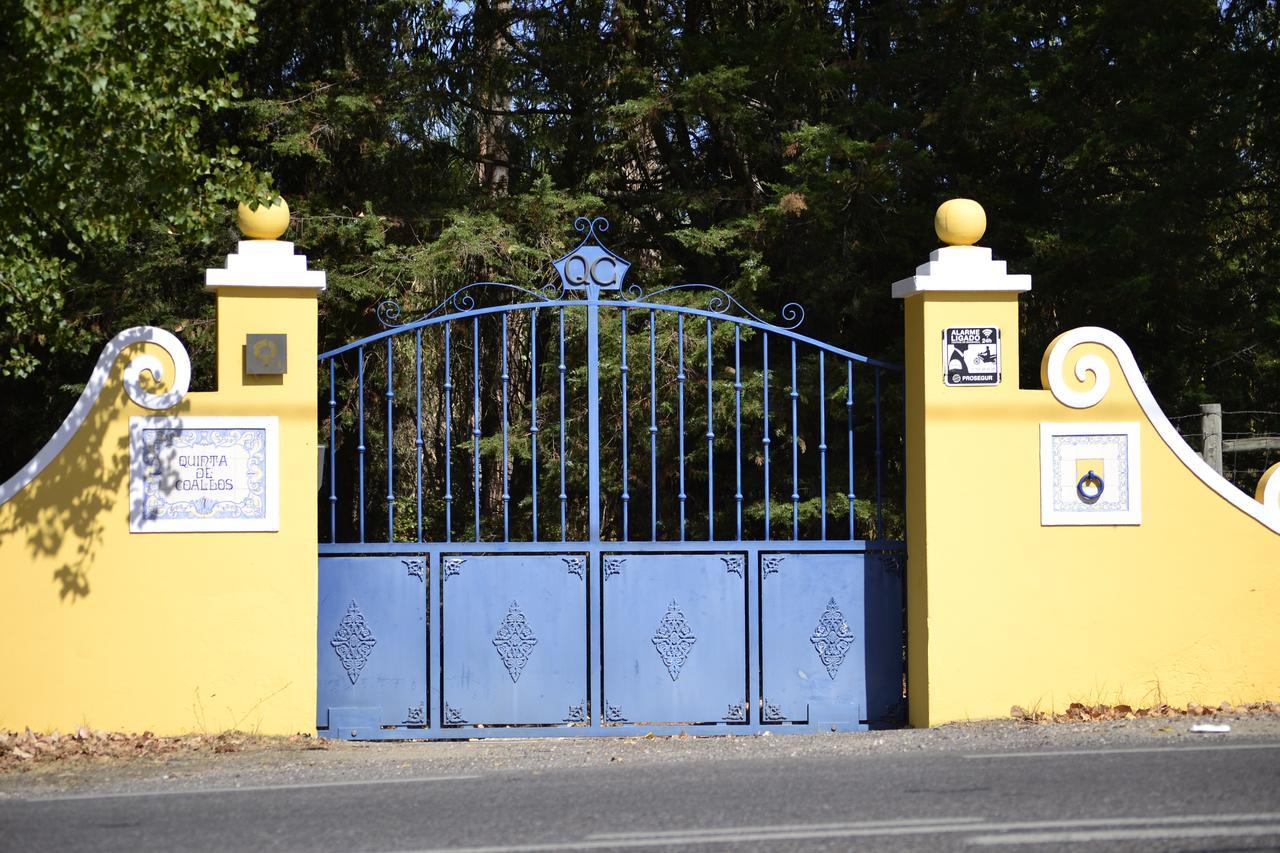 Quinta De Coalhos Th Βίλα Abrantes Εξωτερικό φωτογραφία