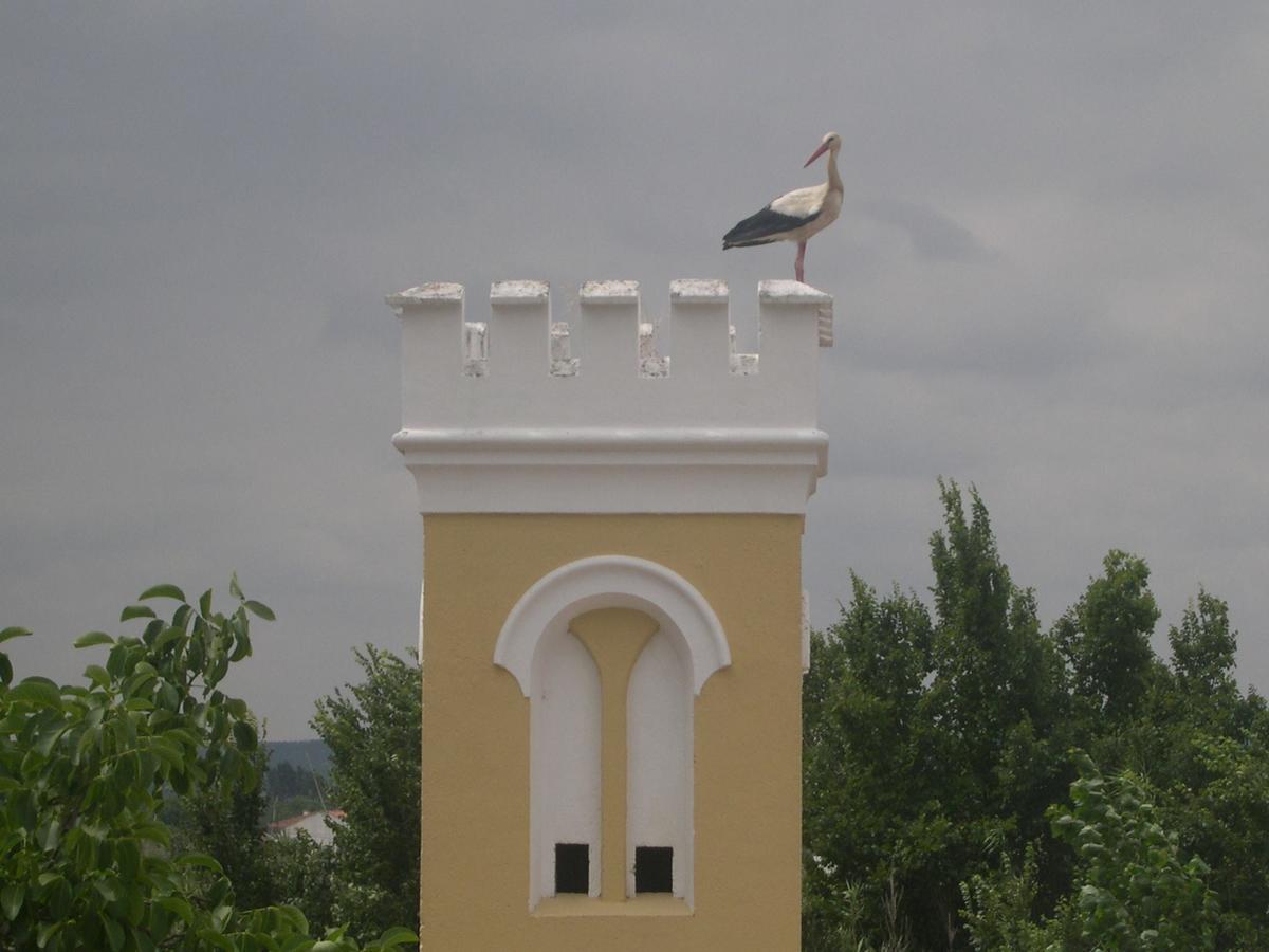 Quinta De Coalhos Th Βίλα Abrantes Εξωτερικό φωτογραφία